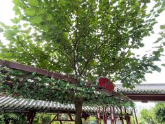-广州神农草堂中医药博物馆