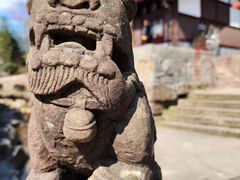 -雅安上里古镇
