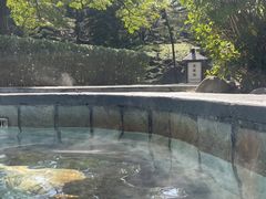 -森波拉火山温泉