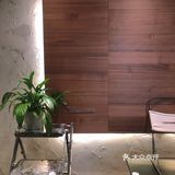 Cinnamon 如肉桂般矛盾复杂