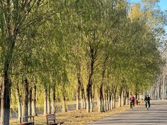 -东郊湿地公园