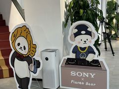-Sony Store 索尼(上海淮海中路店)