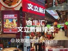 -文立新麻辣烫(合生汇21街区店)