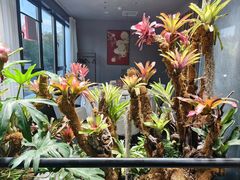-扶摇湘宴·烤鸭·湘粤宴(中关村·北大店)