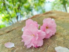 -苏兴记(建筑路店)