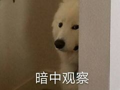 -孖记茶档·热腾茶餐(乐峰店)