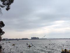 -滇池海埂公园