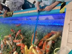 -武汉荟聚