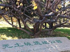 -元大都城垣遗址公园