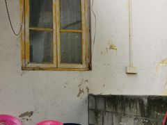 -章记正宗南岗鱼蛋火锅