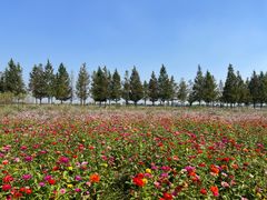 -嘉北郊野公园