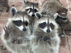 -水上乐园·欢乐世界