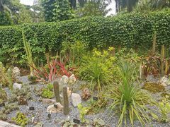 -中国科学院西双版纳热带植物园