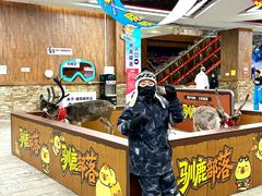 -哈尔滨热雪奇迹