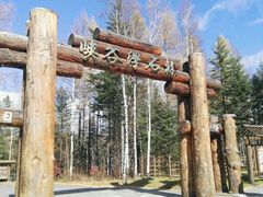 -峡谷浮石林景区