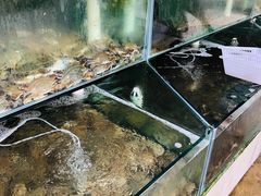 -海岸风情蒸汽海鲜自助餐厅(家宴金手勺店)