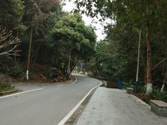 -火炉山森林公园