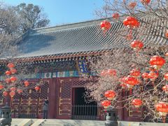 -香山公园