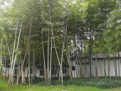-求雨山文化公园