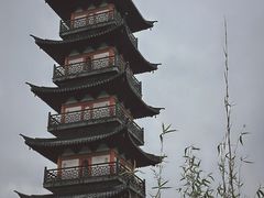 -秋霞圃