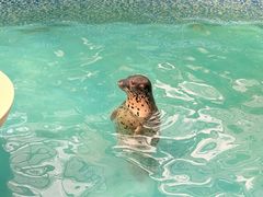 -长春农业博览园