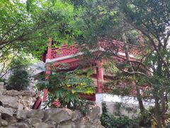 -汇龙潭