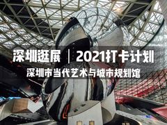 -深圳市当代艺术与城市规划馆