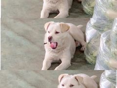 -江杨农产品批发市场