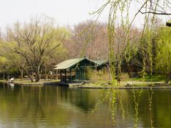 -上海共青森林公园