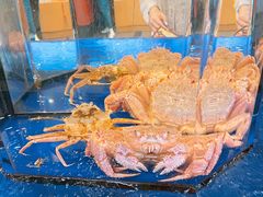 -蟹道乐(道顿堀本店)