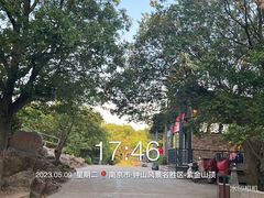 -紫金山山顶公园