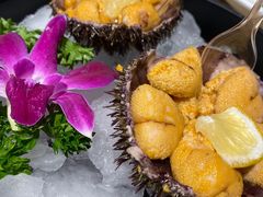 -老大连·海肠捞饭·大连海鲜大连菜(西安路店)