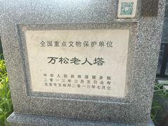 -万松老人塔