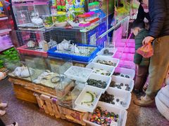 -双季花艺园艺市场(浦东店)