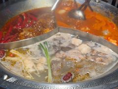 -辣伍鲜毛肚老火锅(元一店)