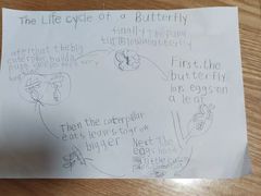 -奇尔思青少儿·语言·艺术·演讲(顾戴路店)