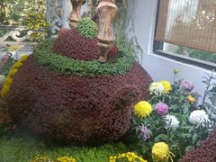 -杭州植物园
