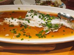 -鸽舞笙平金牌烧鸽子·融合菜(鲁谷店)