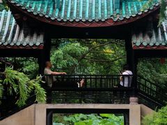-桂湖森林公园