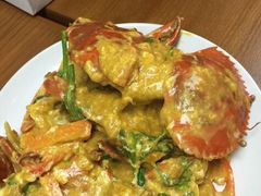 -Magic Food Point(Airport Street food)