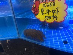 -驻海渔市(置信店)