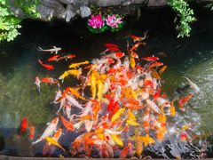 -西林禅寺