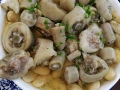 -呼吸森林·生态农庄农家乐私房菜