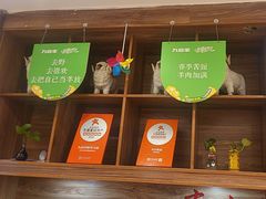 -九府羊鲜羊火锅·烧烤(任丘东风美食街店)