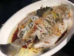鲜椒鲈鱼片-唐廊烤鸭店(工体店)
