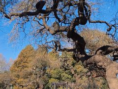 -国家植物园南园