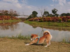 -花开海上生态园