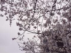 -同济大学(嘉定校区)