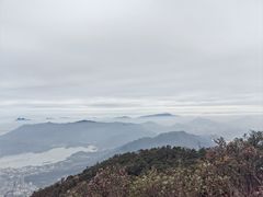 -梧桐山风景名胜区