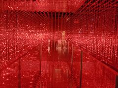 -正佳自然科学博物馆